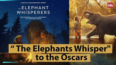  The Elephant's Whisper! Keşfedin 4. Yüzyıldan Gelen Bu Esrarengiz Hint Masalını!