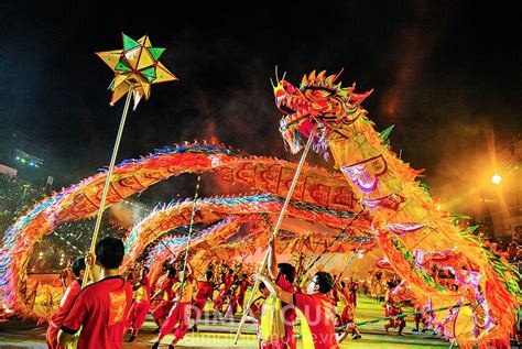  The Dragon Dance: A Celebration of Vietnamese Spirit and Resilience!